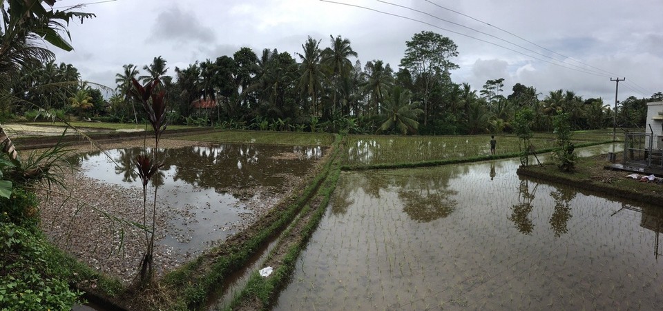 Indonesien - Tabanan - 