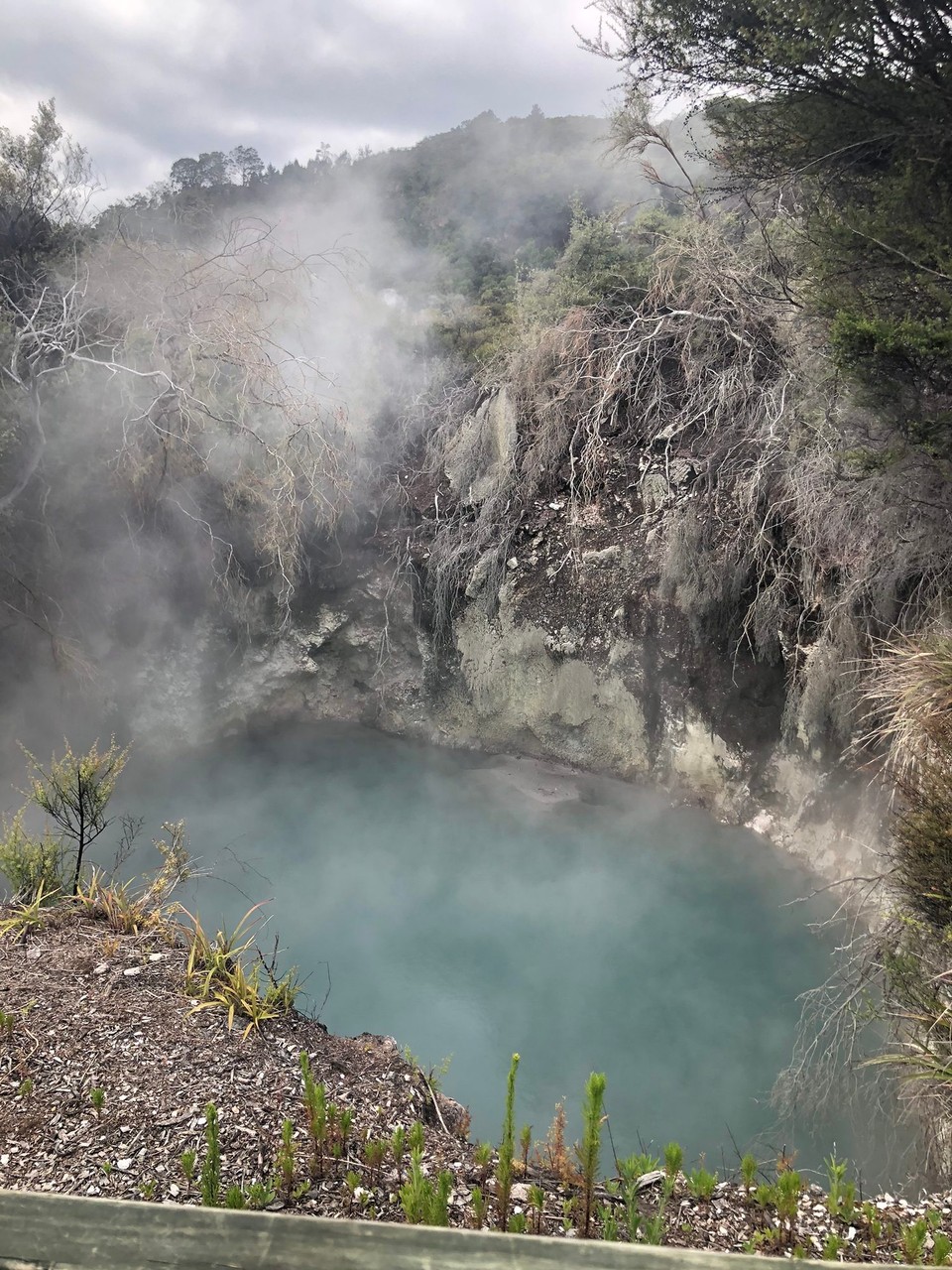 Neuseeland - Whakarewarewa - 