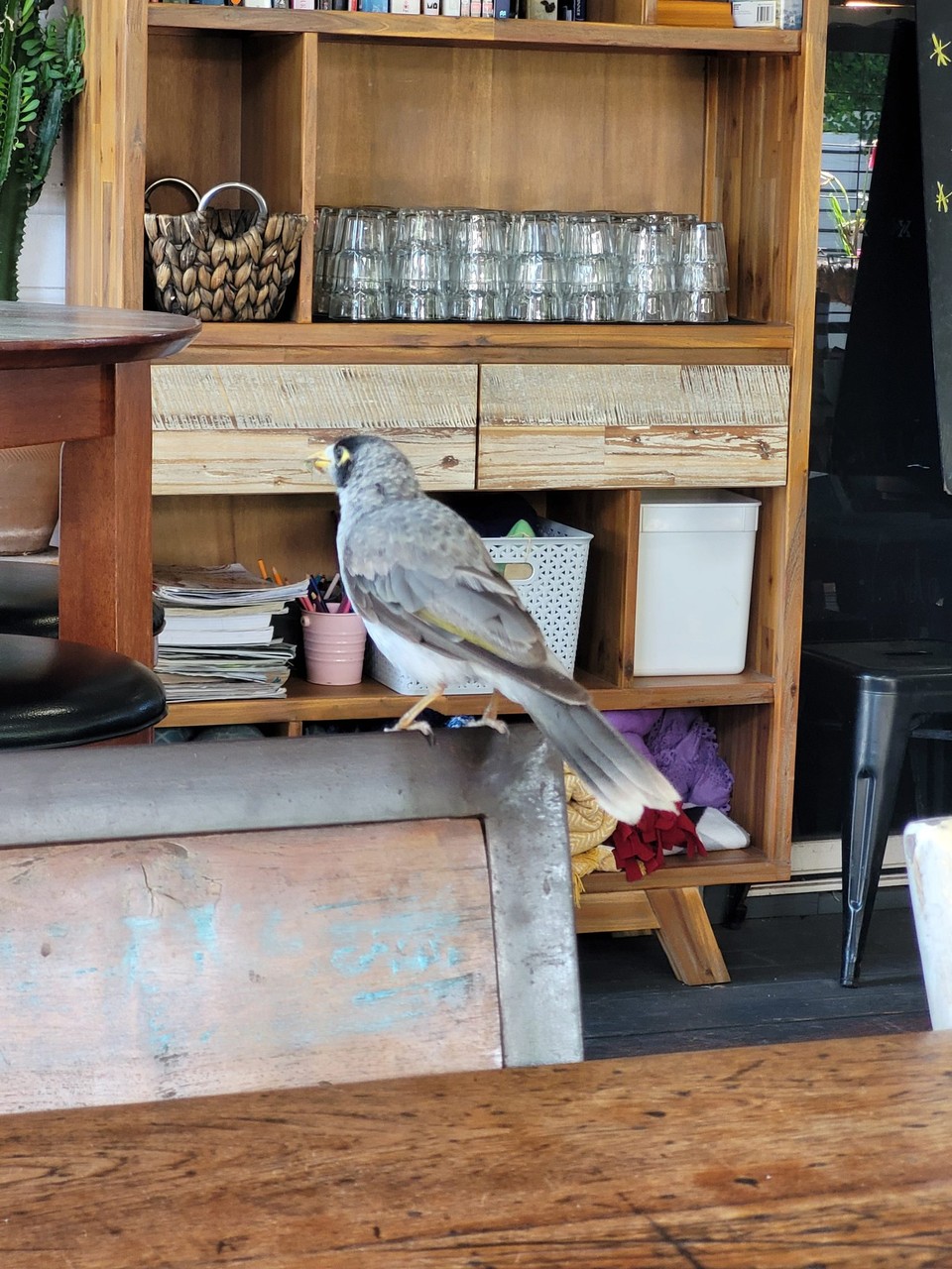 Australien - Woolgoolga - 