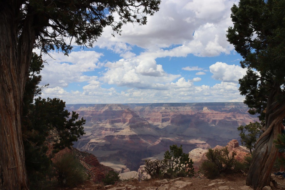 USA - Flagstaff - Grand Canyon South Rim