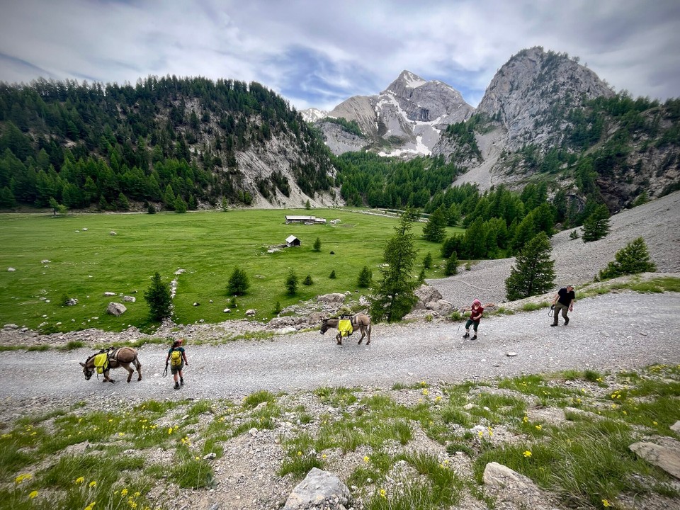 Frankreich - Arvieux - 