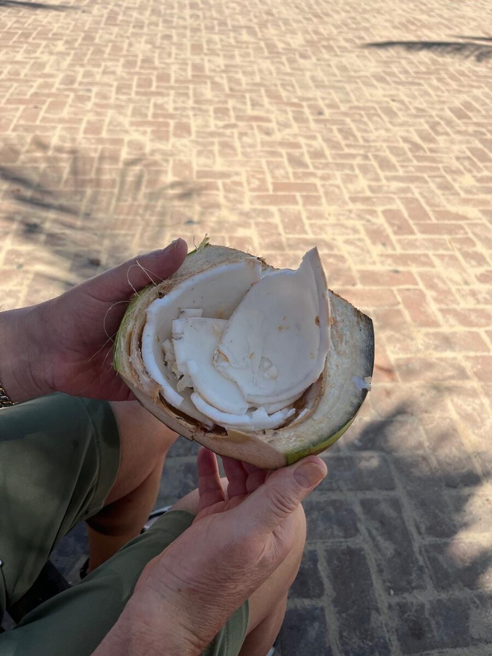 Brasilien - Mata De São João - 