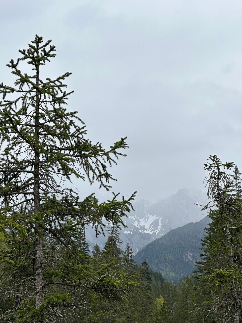 Österreich - Scharnitz - 