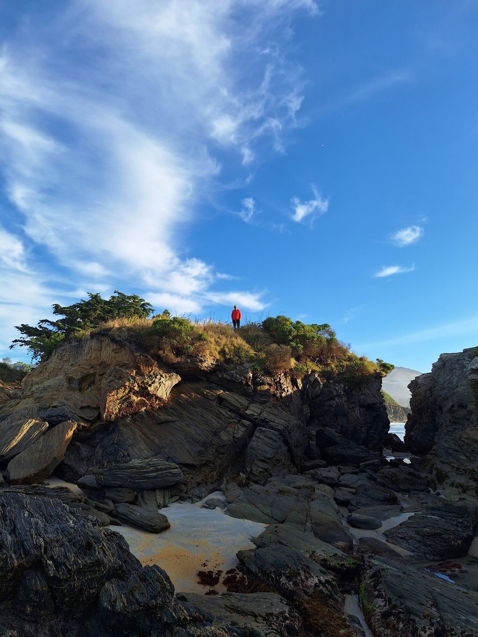 Neuseeland - Dunedin - 