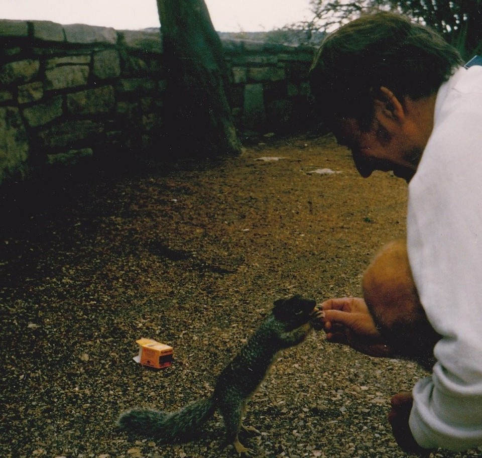 United States - Grand Canyon National Park - Ground Squirrel