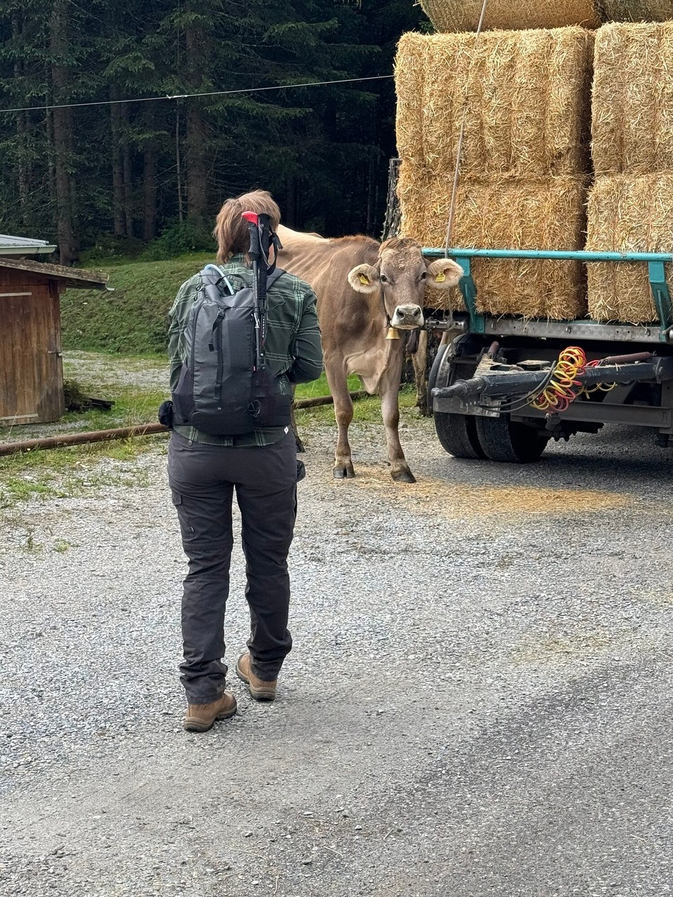Österreich - Obernberg am Brenner - 