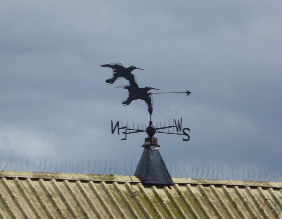 United Kingdom - Colchester - The wind vane on the packing shed.  Maggie and Mark finally got their promised lunch; a lovely time whilst thunder and lighting and yet more rain raged outside.