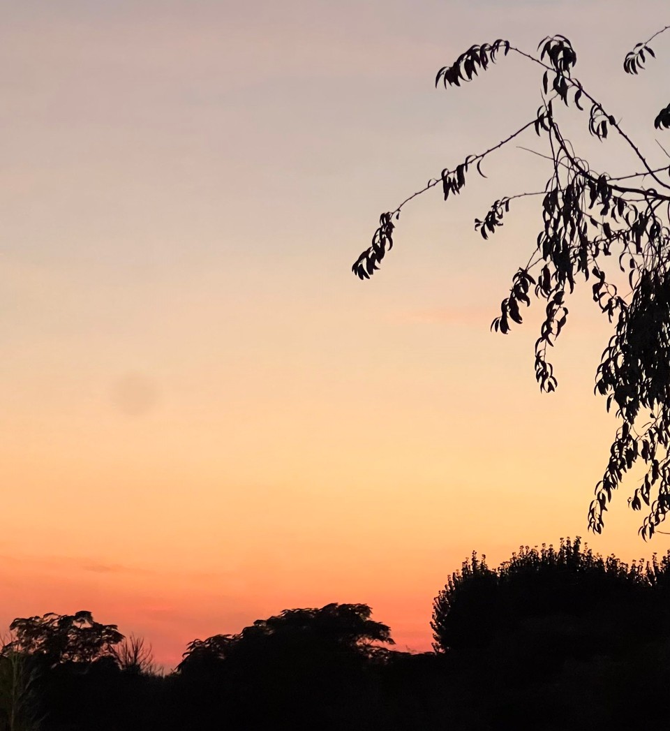 Italien - Bellaria-Igea Marina - Beim Abendspaziergang zeigt sich ein gern gesehener „Vorbote“ betreffs Wetter für den morgigen Tag😉😌✊🏼👌🏼🙏🏼