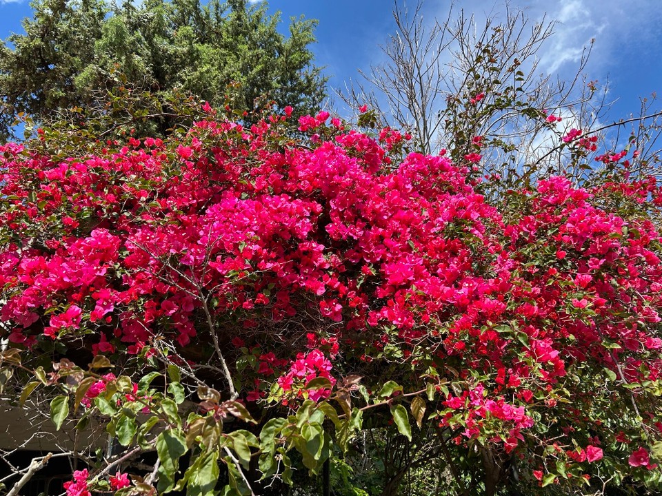 Italien - Tresnuraghes - 