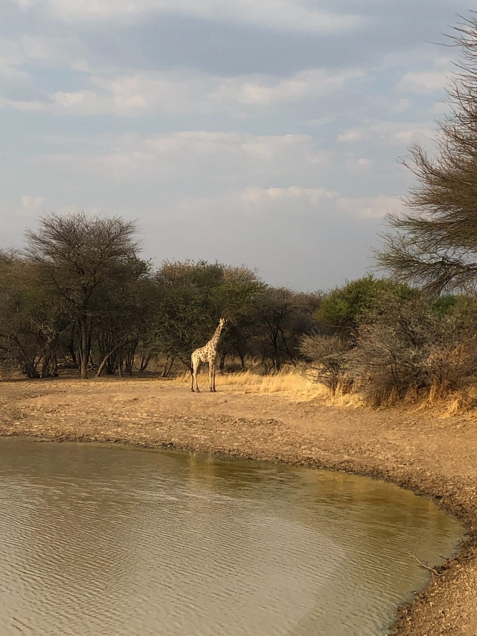 Namibia - Otjiwarongo - 