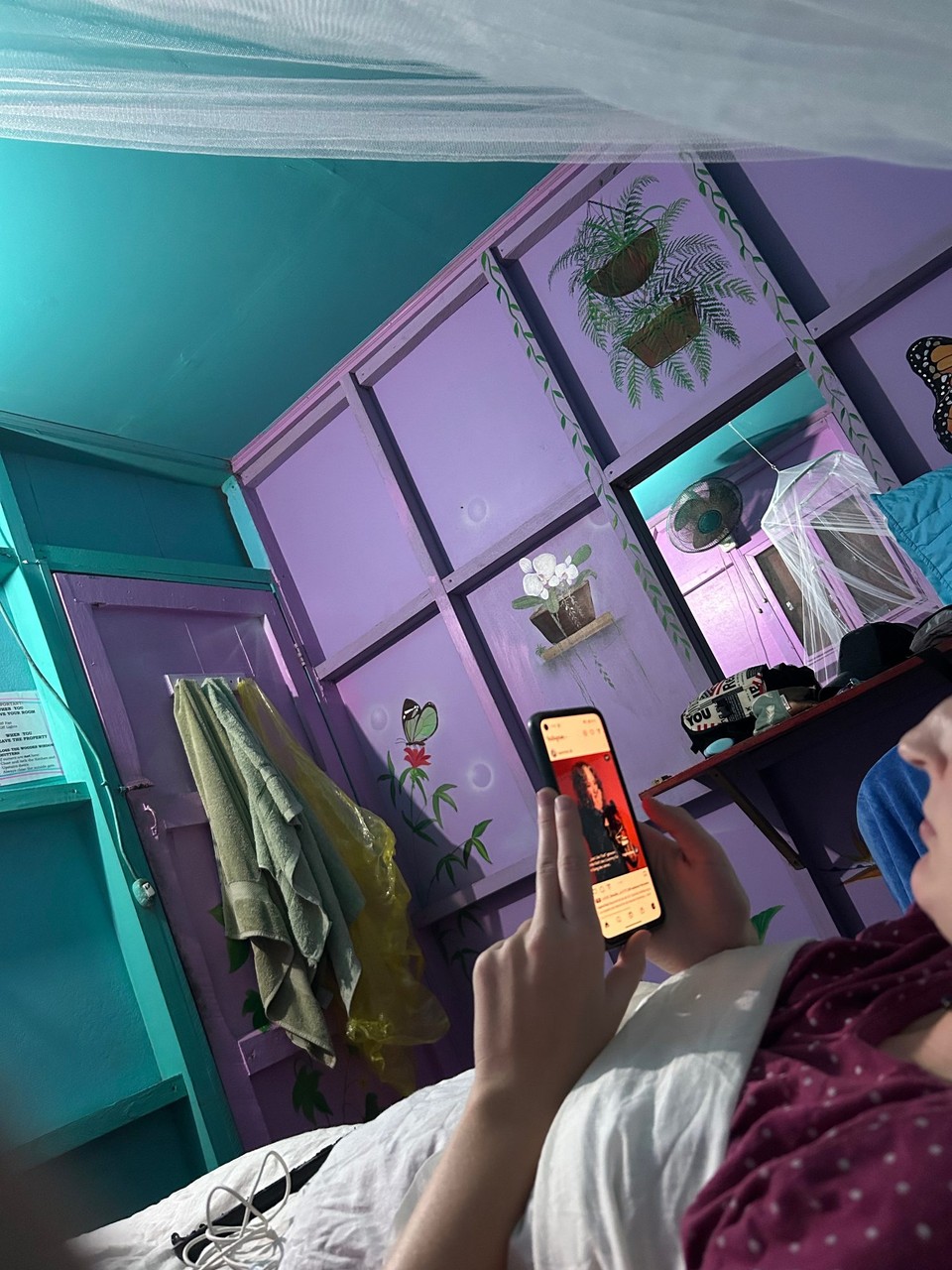 Costa Rica - Puerto Viejo de Talamanca - 