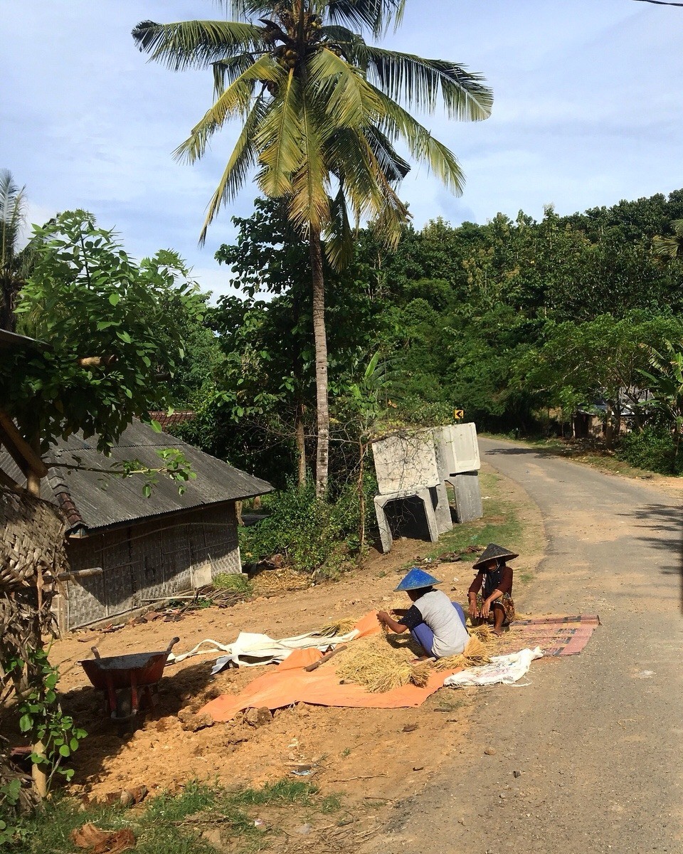 Indonesien - Lombok Tengah - 