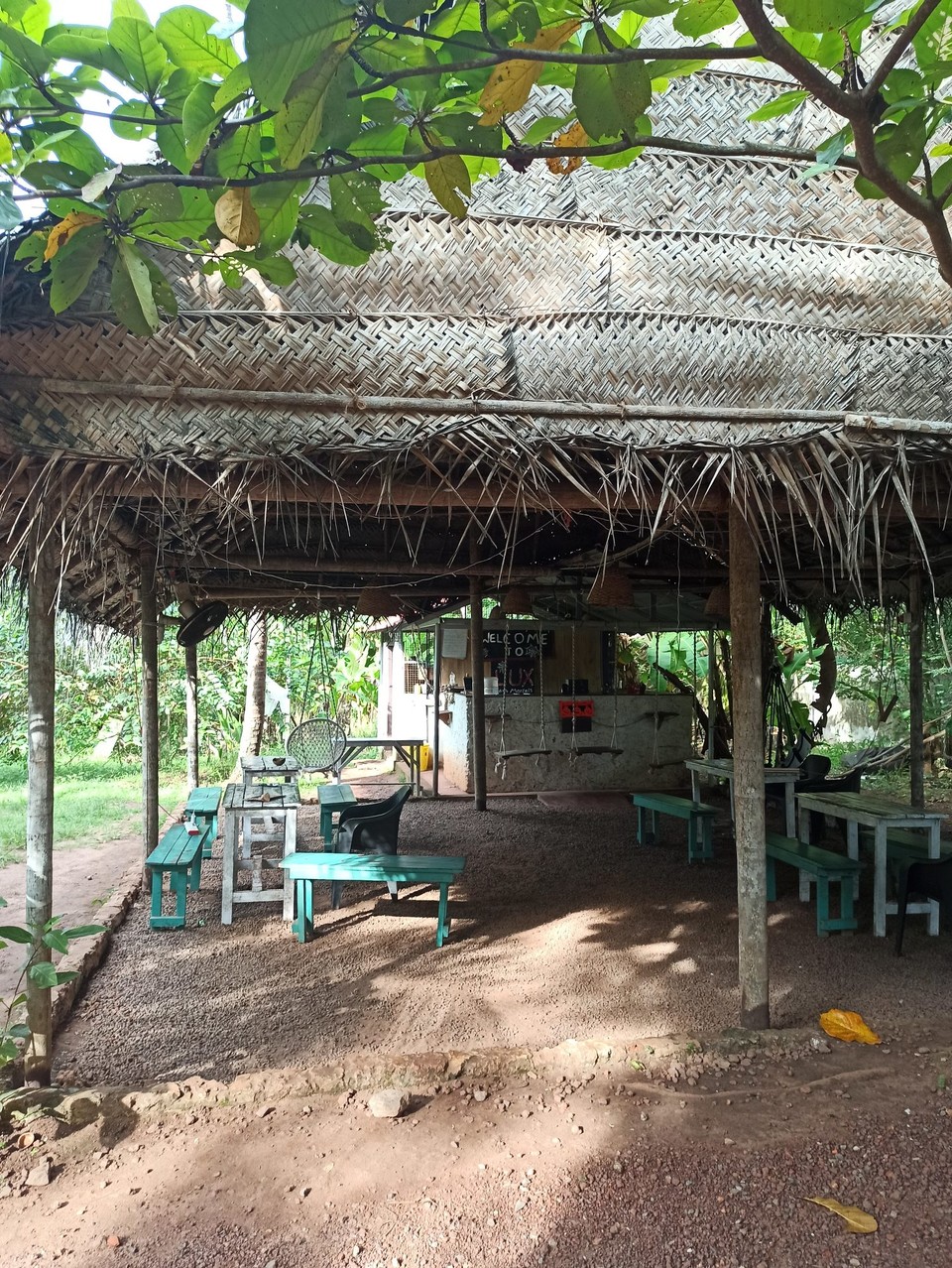 Indien - Varkala - Mein erstes Hostal für den Trip. Ziemlich entspannt hier😍