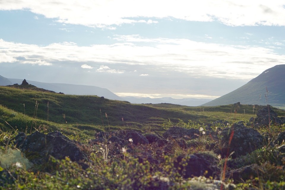 Island - Mývatn - 