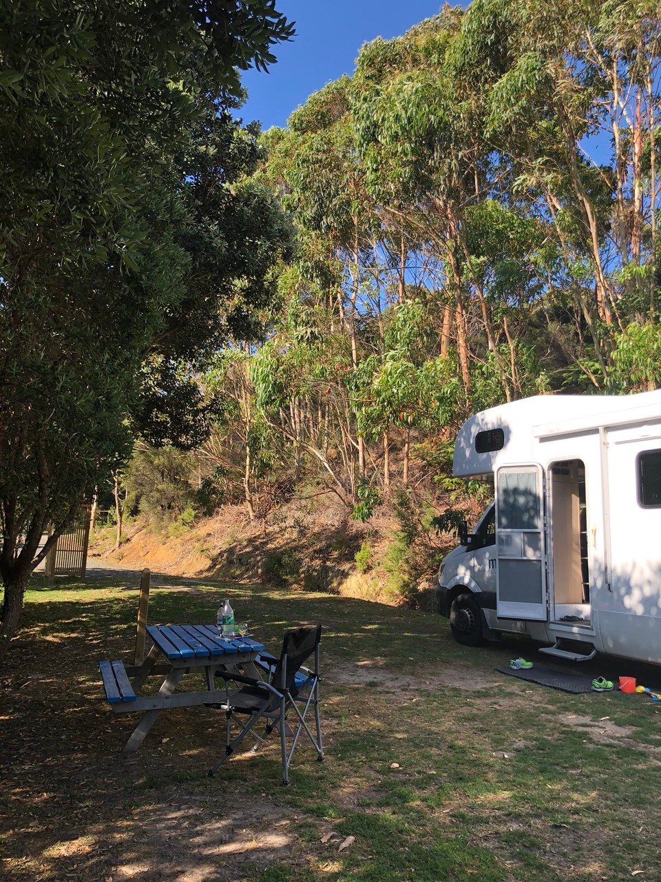 Neuseeland - Karikari Peninsula - Gemütlicher Campingplatz mit viel Umschwung und Schatten 