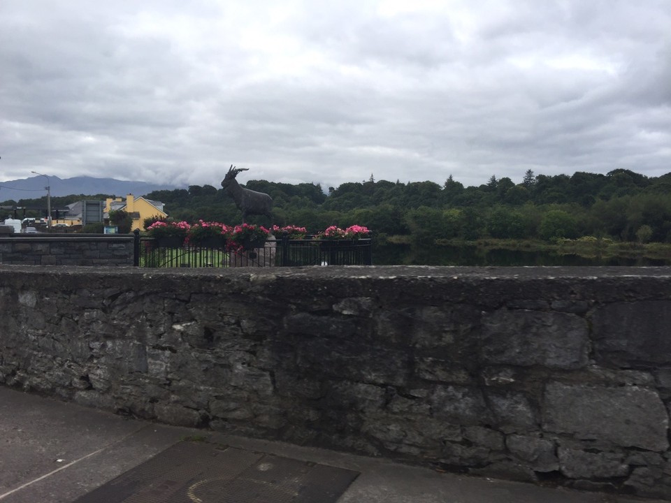  - Ireland, Waterville, Ring of Kerry - Killorglin goat festival