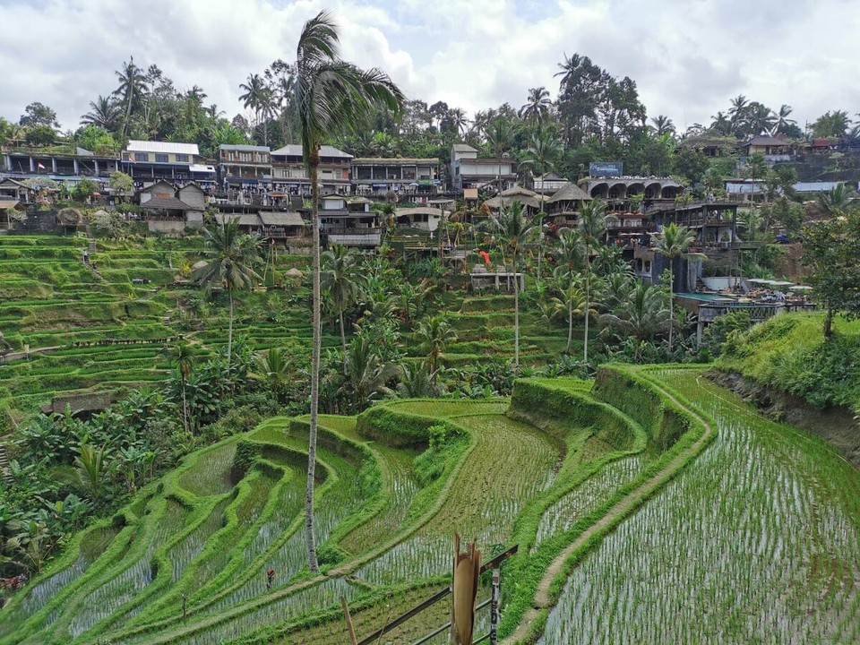 Indonesien - Gianyar - 
