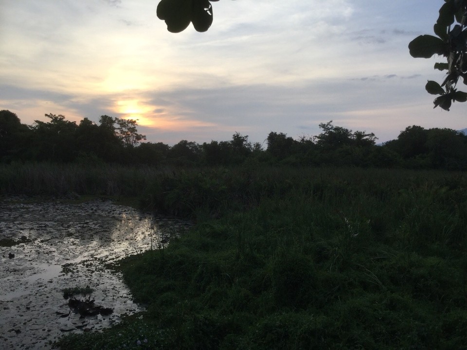 Malaysia - Kedawang - Bird Sanctuary at Bon Ton