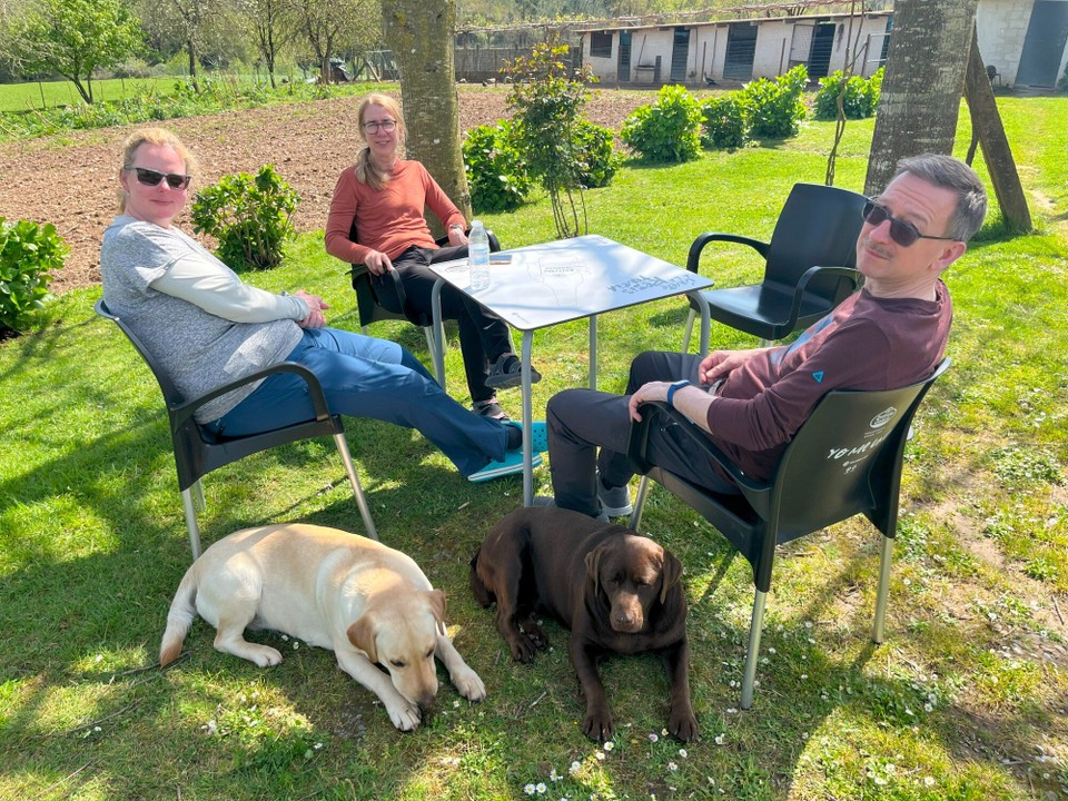 Spanien - Arzúa - Die Hunde fühlen sich bei uns wohl.