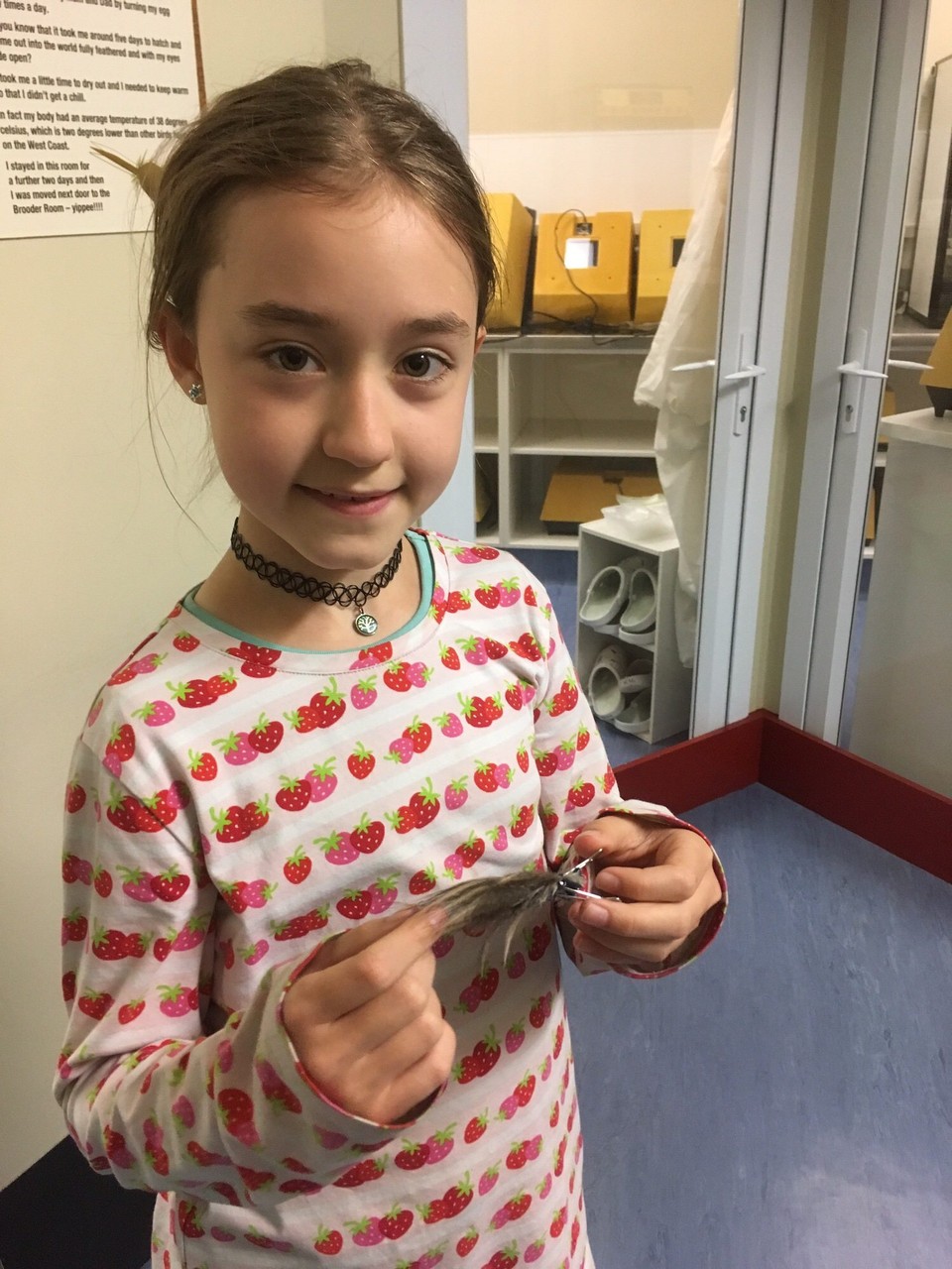 Neuseeland - Franz Josef Glacier - Das sind Kiwifedern. Sie sind sehr weich.