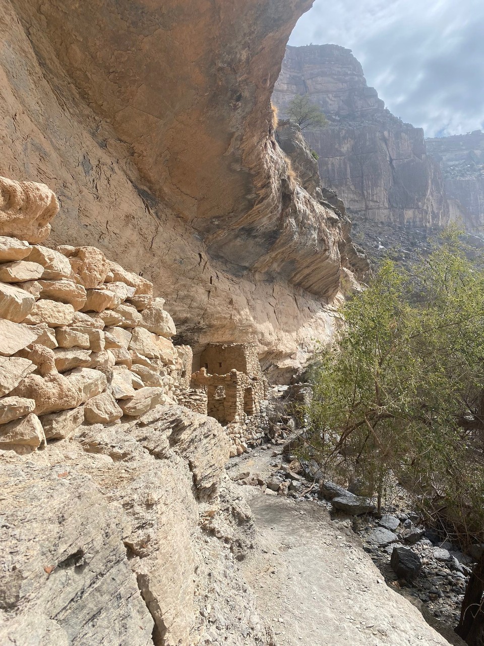 Oman -  - 