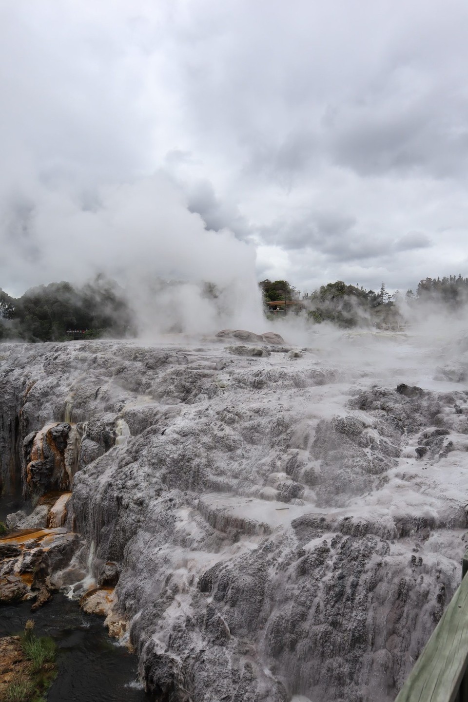 Neuseeland - Matakana Island - 