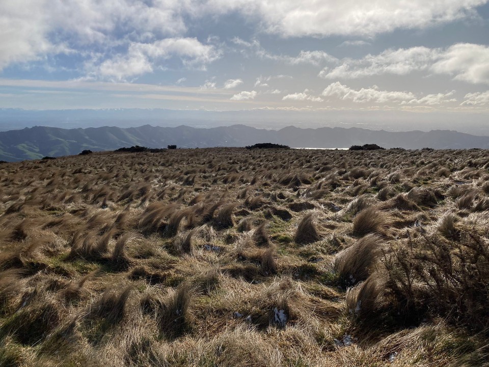 Neuseeland - Governors Bay - 