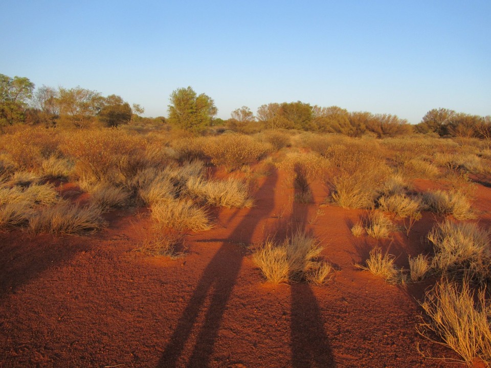 Australien - Mutitjulu - Wanderung bei Sonnenaufgang