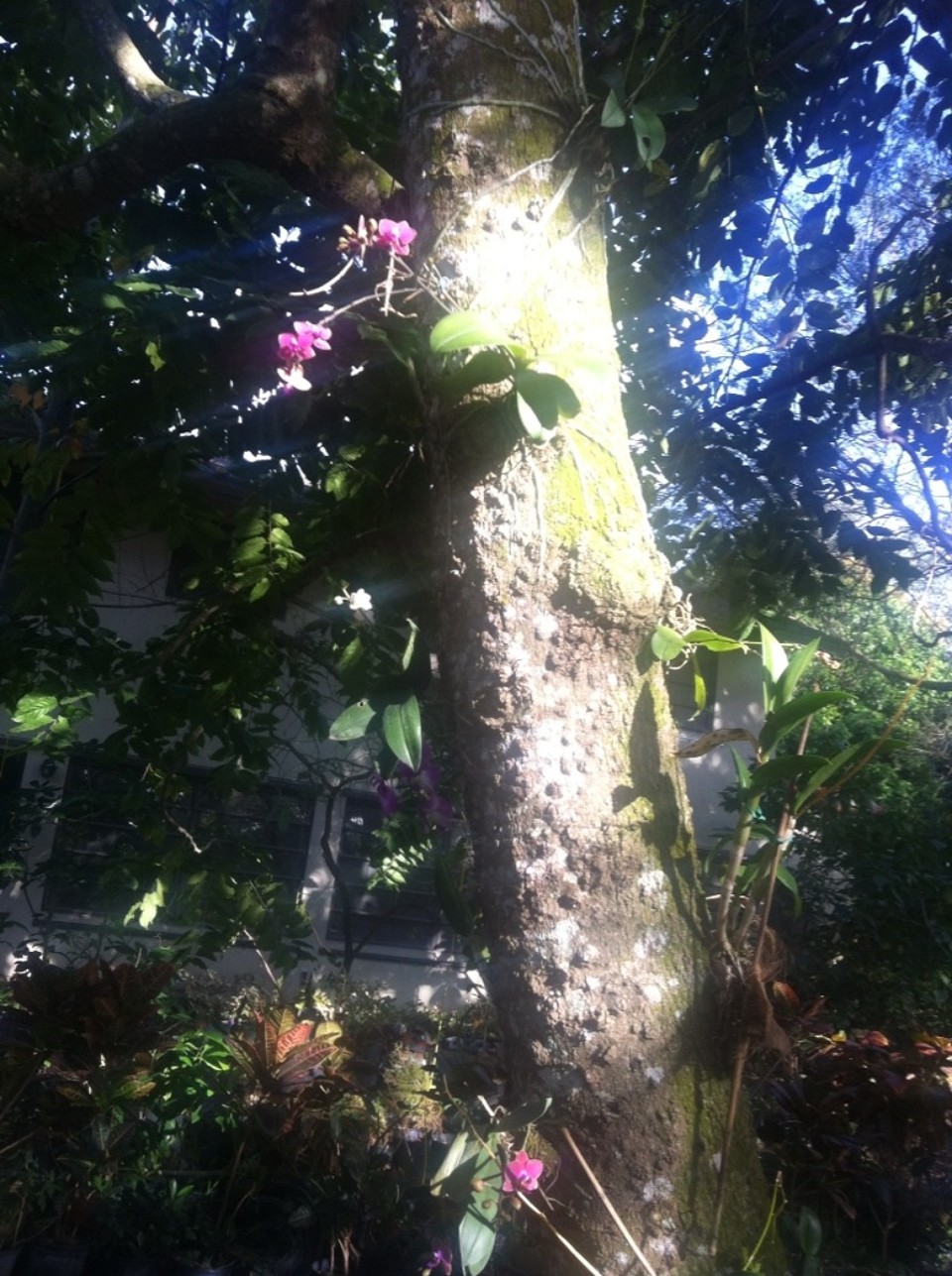 Egyesült Államok - Homestead - 