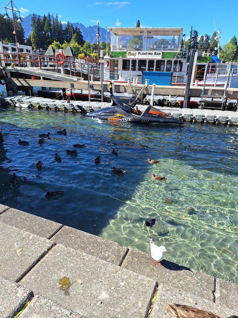 Neuseeland - Queenstown - 