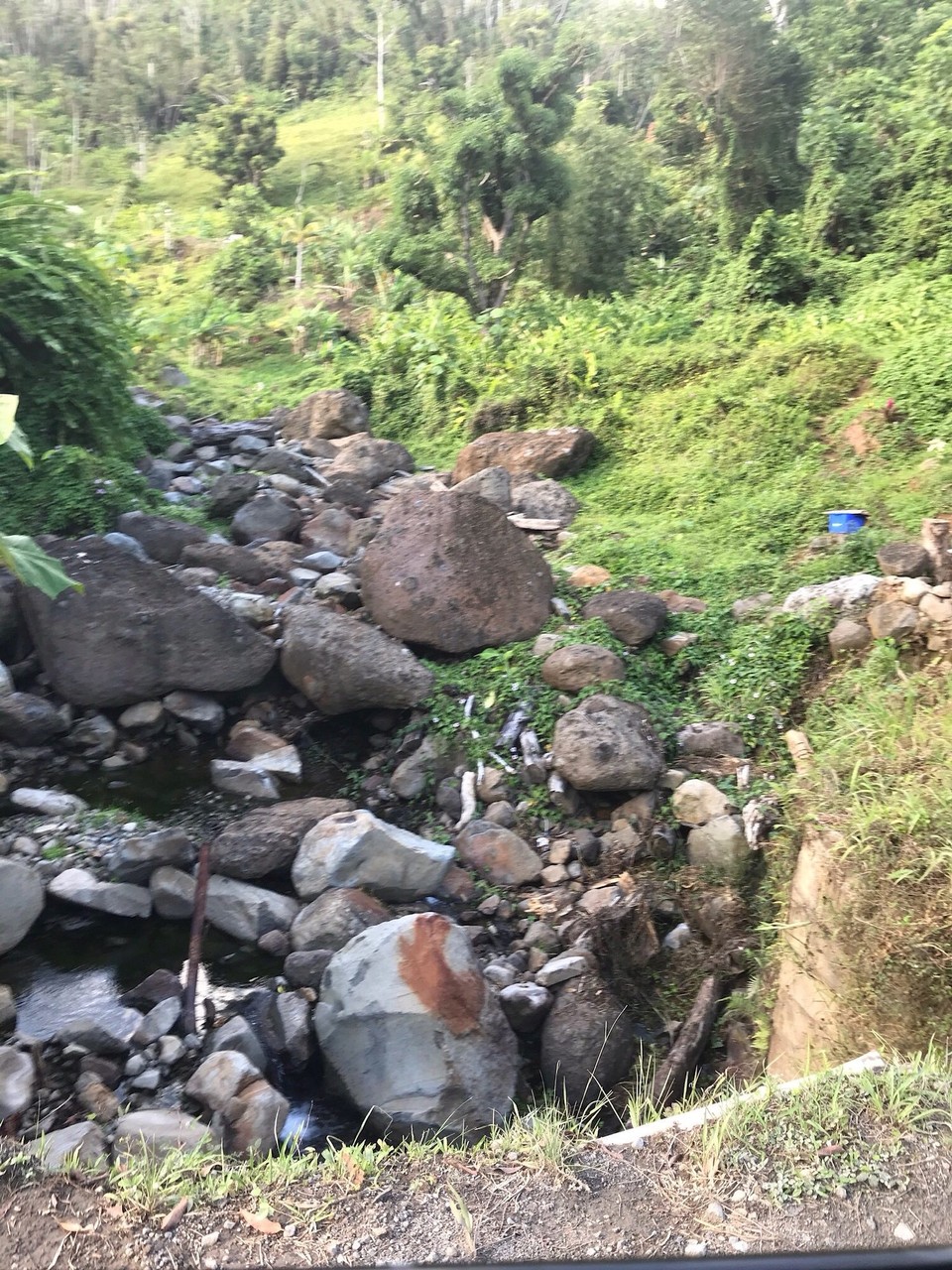 Dominica -  - 