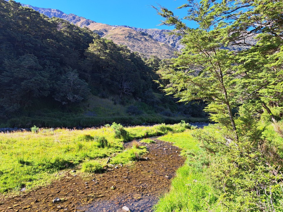 Neuseeland - Hanmer Springs - 