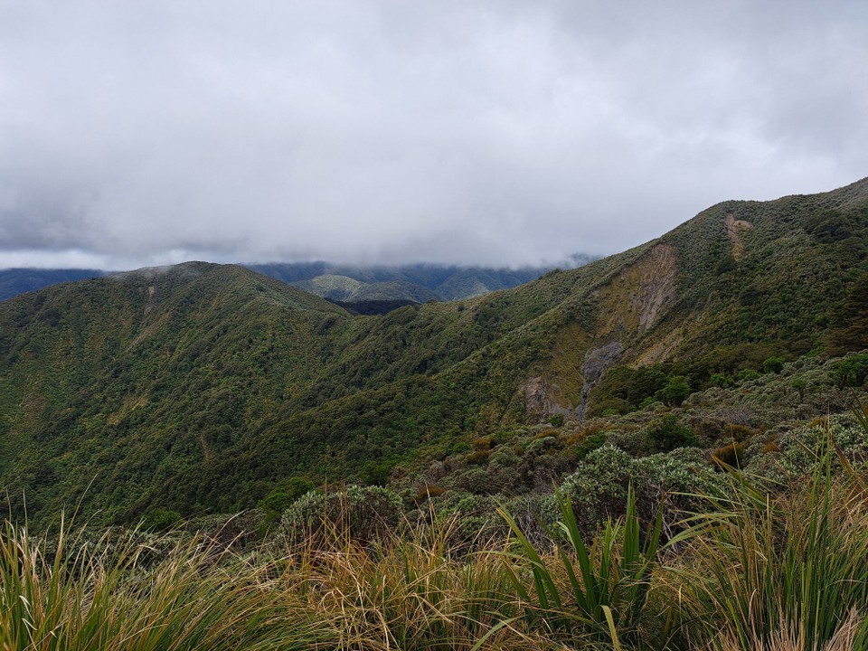 Neuseeland - unbekannt - 