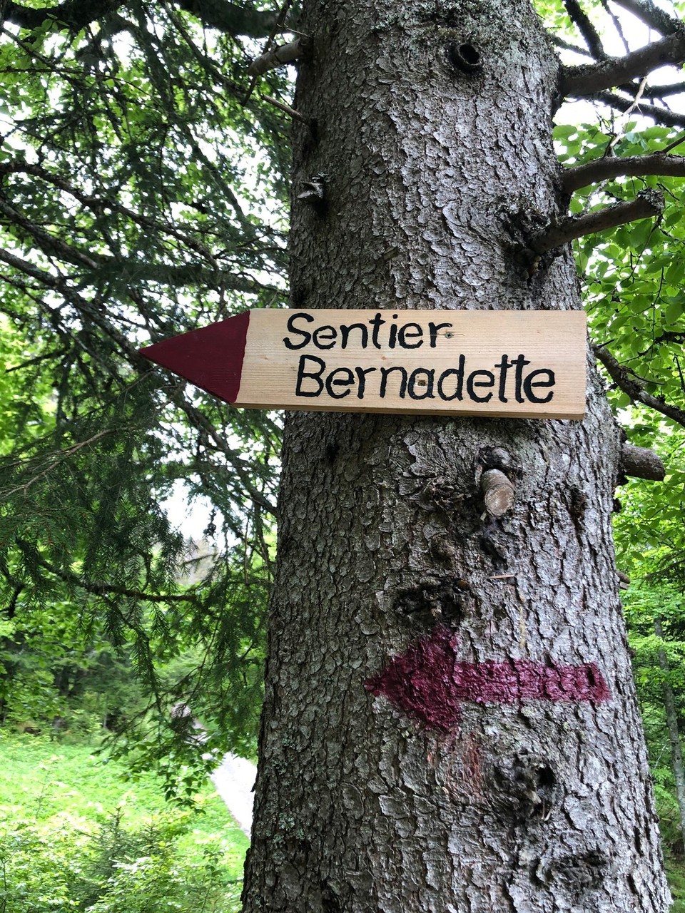Schweiz - Saint-Cergue - 