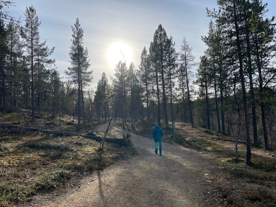 Finnland - Saariselkä - Schöne Wanderung im Sonnenschein 