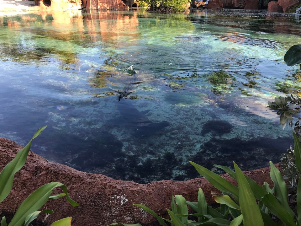 Bahamas - Nassau - 