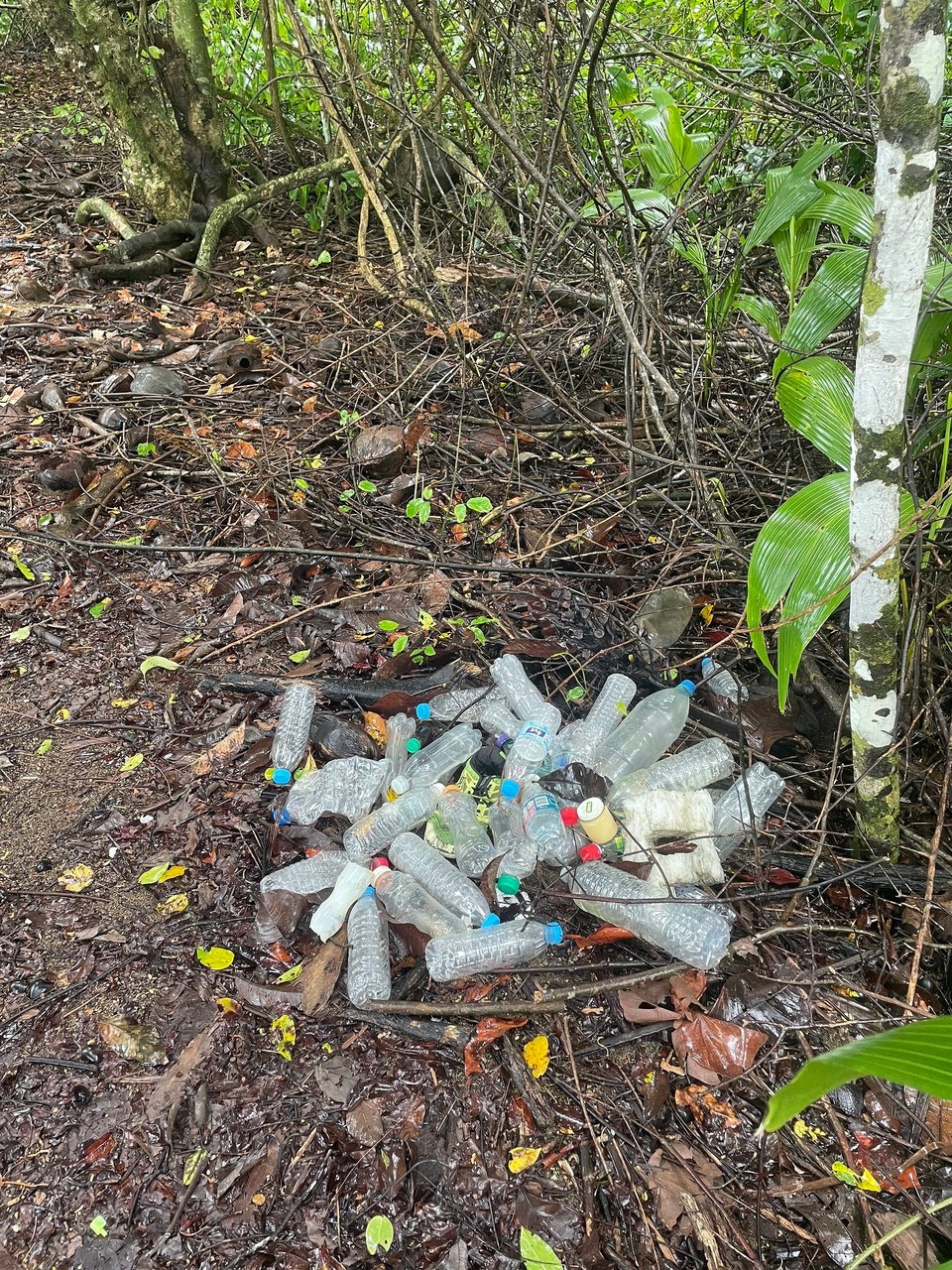 Costa Rica - Osa - Die traurige Wahrheit - der Guide hat uns berichtet, dass nur einige Kilometer vor der Küste des Nationalparks eine Müllinsel circa in der Größe Costa-Ricas schwimmt. Davon bleibt auch der Park nicht unberührt 😞 