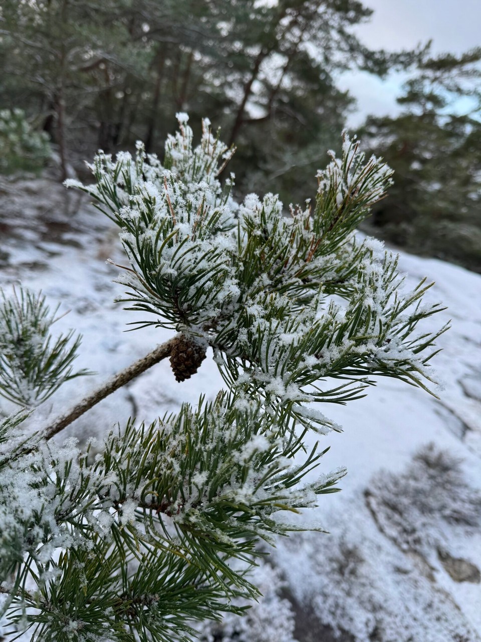 Schweden - Tanumshede - 