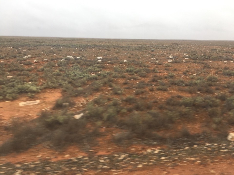 Australien - Rawlinna - 