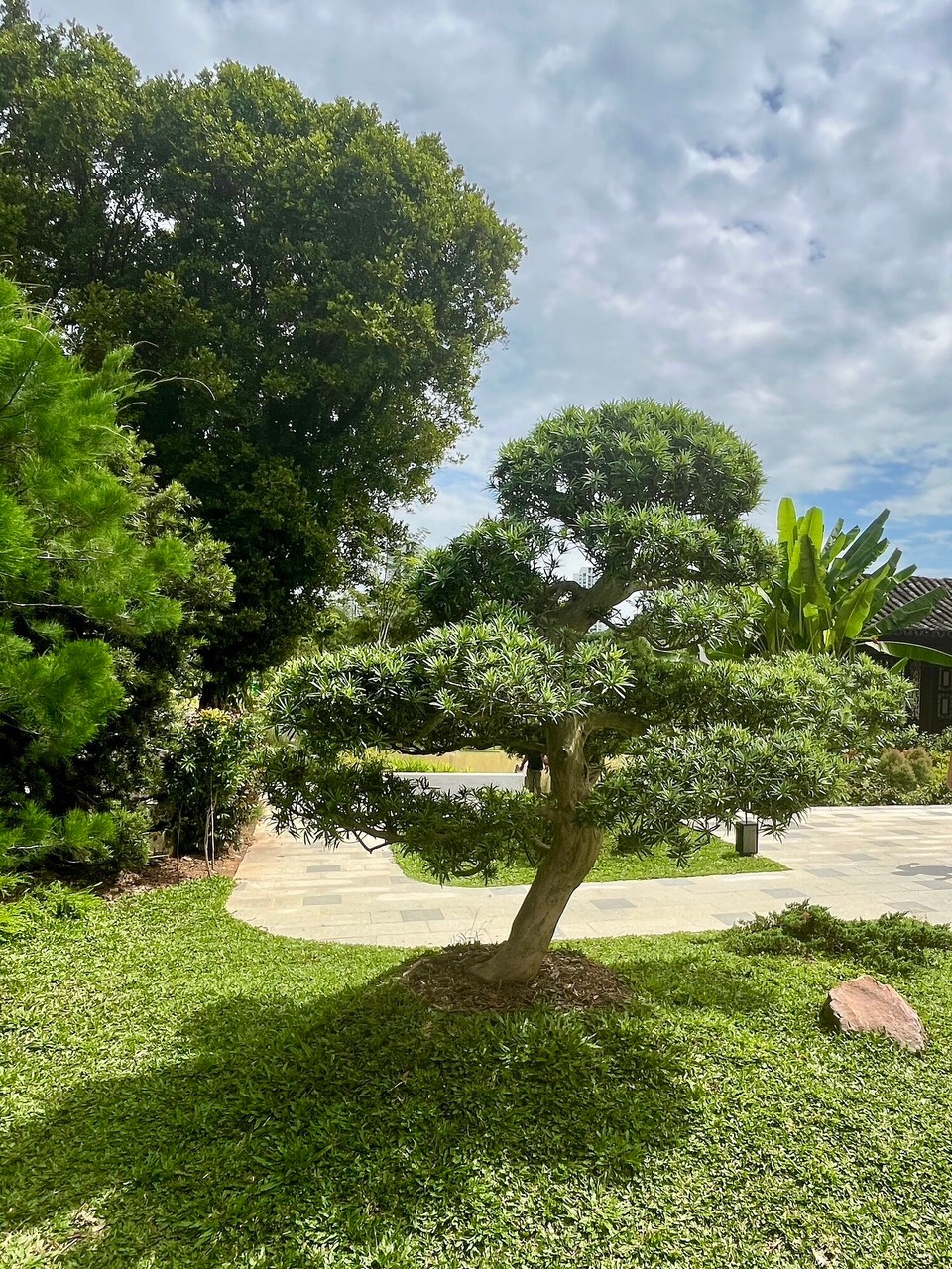 Singapur - Singapur - 