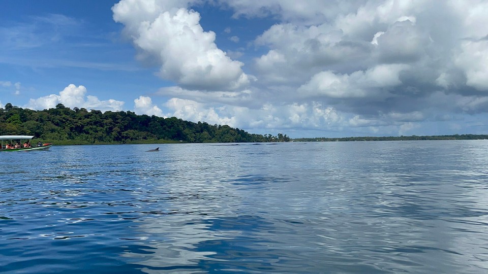 Panama -  - 🐬 
