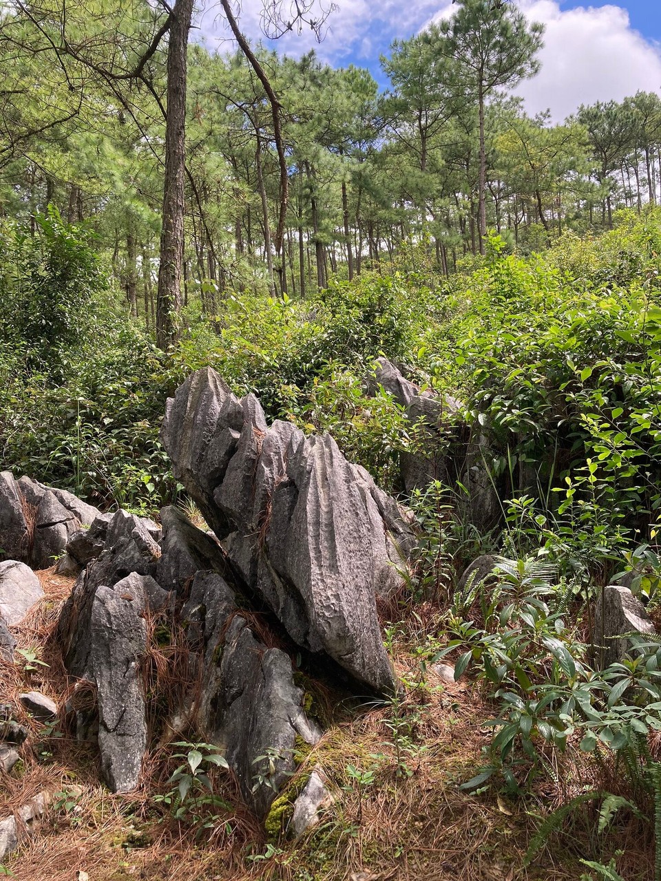 Vietnam - Meo Vac - 