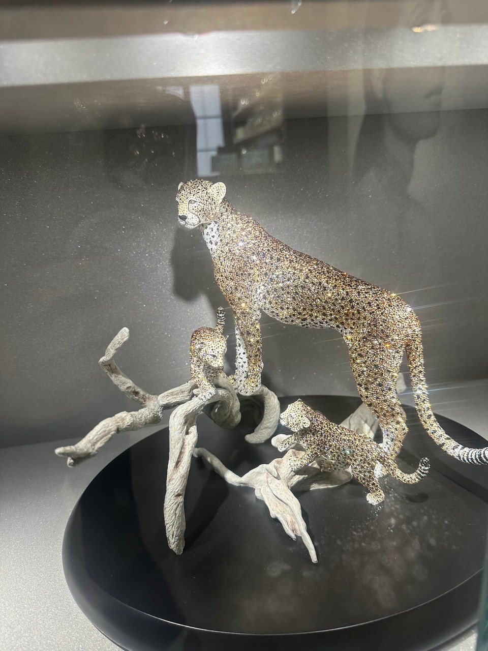 Austria - Innsbruck - 