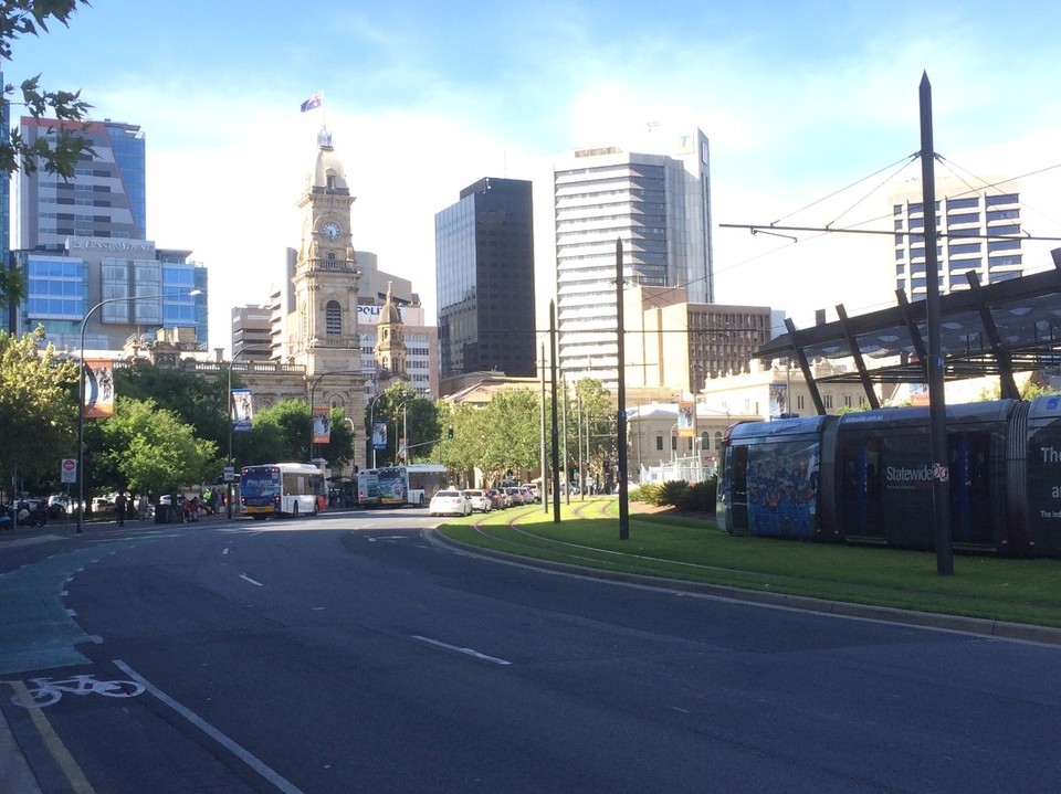 Australia - Adelaide - I really like that they have plantet grass around the tram tracks.