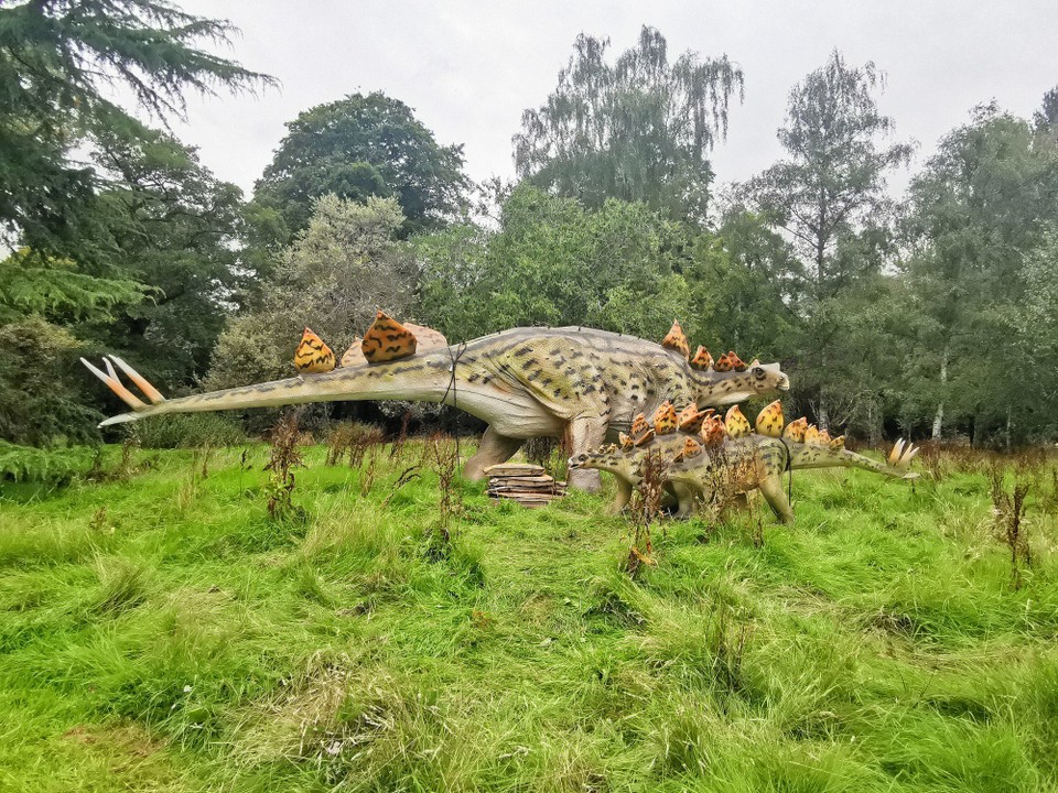 United Kingdom - Cardiff - 