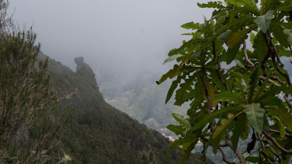 Portugal - Ribeira Brava - Kurzer Blick ins Tal 