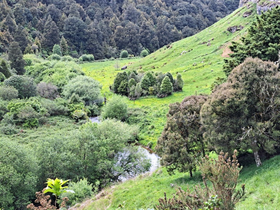 Neuseeland - Mangaokewa - 