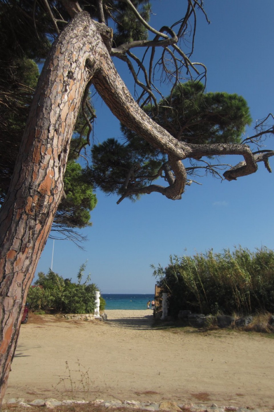 Frankreich - Saint-Tropez - Plage Tahiti von St. Tropez