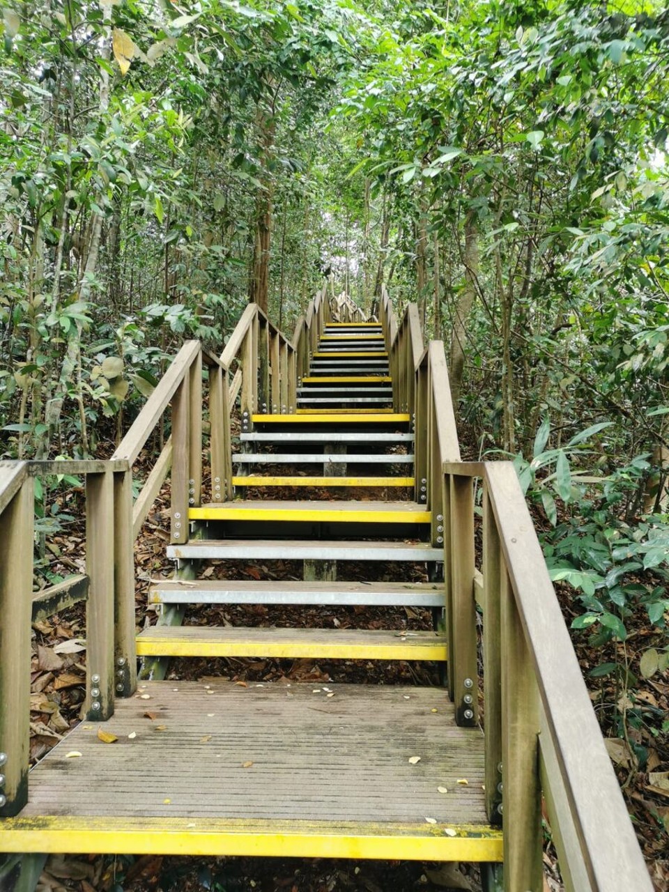 Singapur - Singapur - 