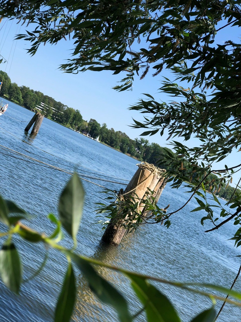 Deutschland - Bad Saarow - 